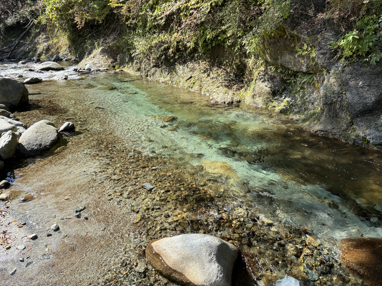 西丹沢 山と川のキャンプ場（バウアーハウスジャパン）